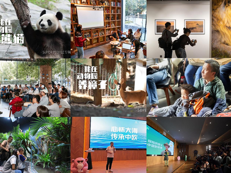 ZOO GROUP Formation 2020
