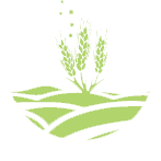 农业与食物体系